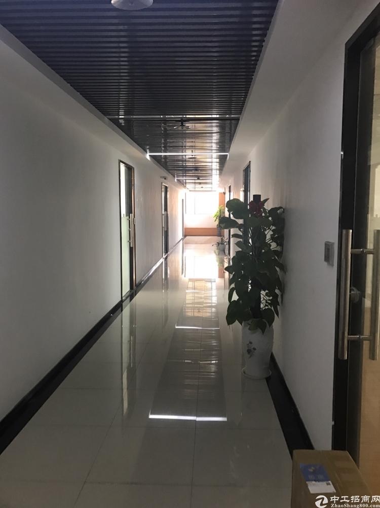 横岗 《33》创谷带红本写字楼招商