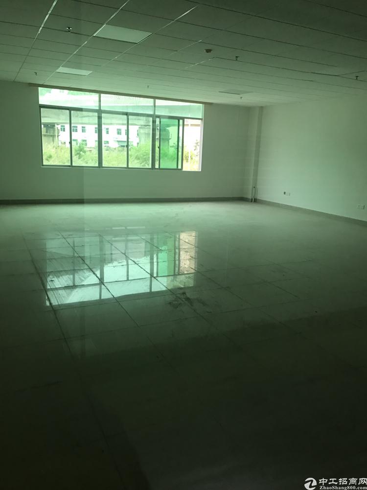 横岗荷坳汽车城边新出精装办公写字楼招租