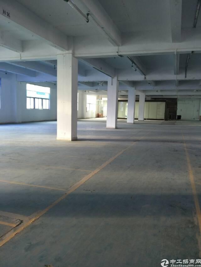 福永福海工业园楼上2000平方做仓库厂房出租
