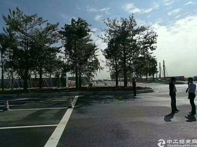 广东省江门红本全新土地