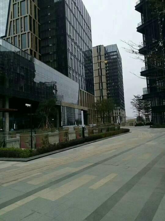 株洲市云龙国有指标土地出售3