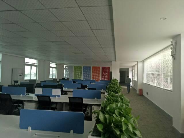 观澜福民新出586平精装修写字楼出租