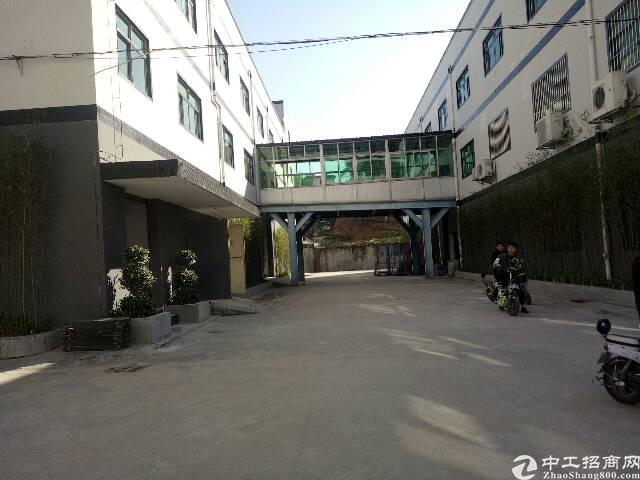 龙华天虹附近新出电商园80到2000平方