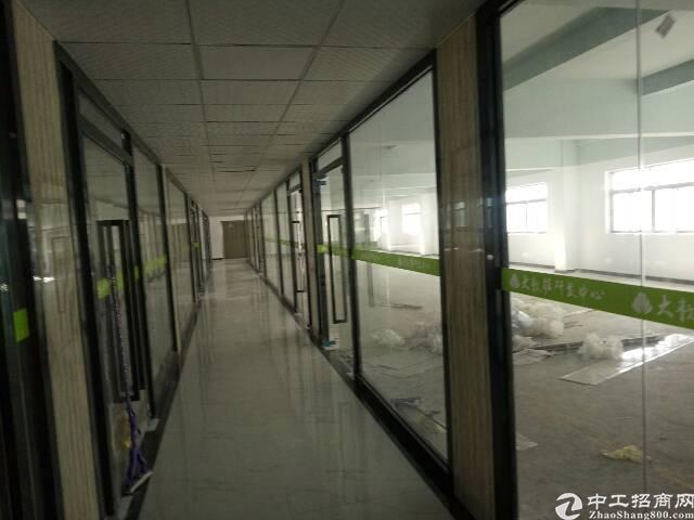 龙华天虹附近新出电商园80到2000平方