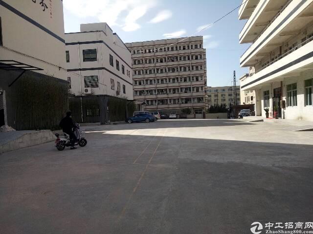 龙华天虹附近新出电商园80到2000平方