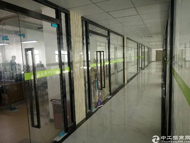龙华天虹附近新出电商园80到2000平方