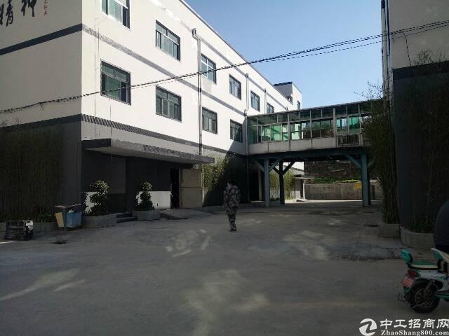 龙华天虹附近新出电商园80到2000平方