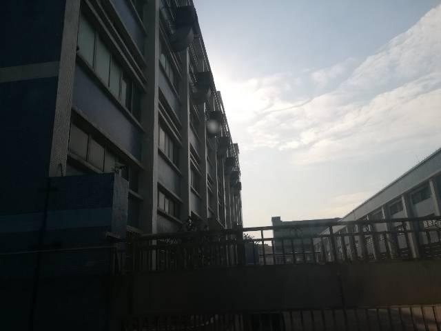东莞新出独院高档写字楼低价招租