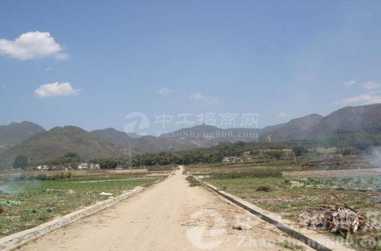 湖北省黄冈市团风国有指标土地出售可分割