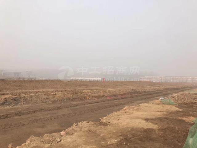 湖北省武汉市新洲区国有土地100亩出售3
