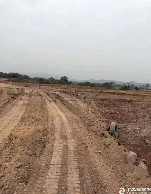 茂名 国有指标土地200亩分割出售