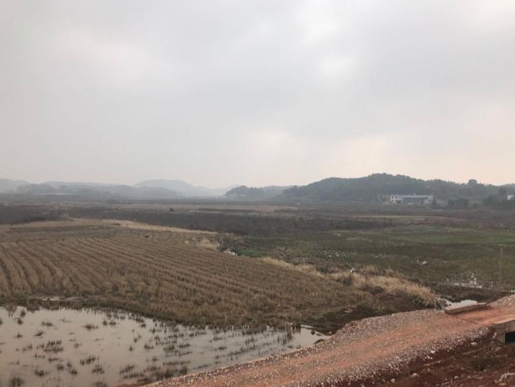 湖北黄冈红本土地出售3