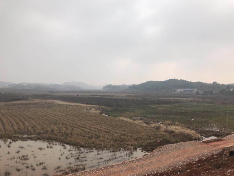 湖南湘潭（长沙）100亩国有土地出售