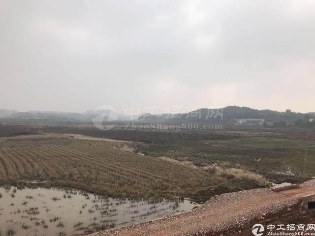 湖北省黄冈市团风国有指标土地出售4