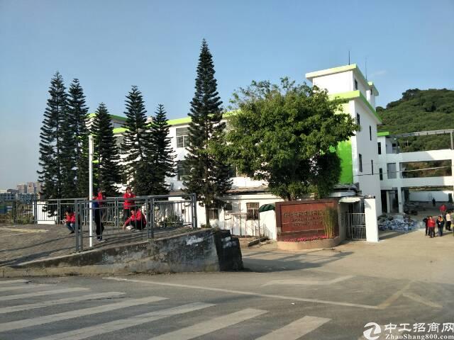 公明镇玉律村独门独院,五栋厂房3500平方一栋.