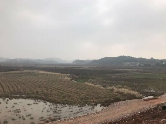 湘潭市雨湖国有指标土地200亩出售2