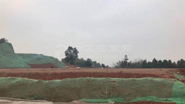惠州潼桥占地8000㎡国有土地出售