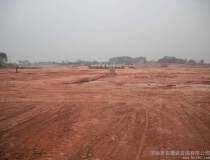广东惠州1000亩土地投资建厂
