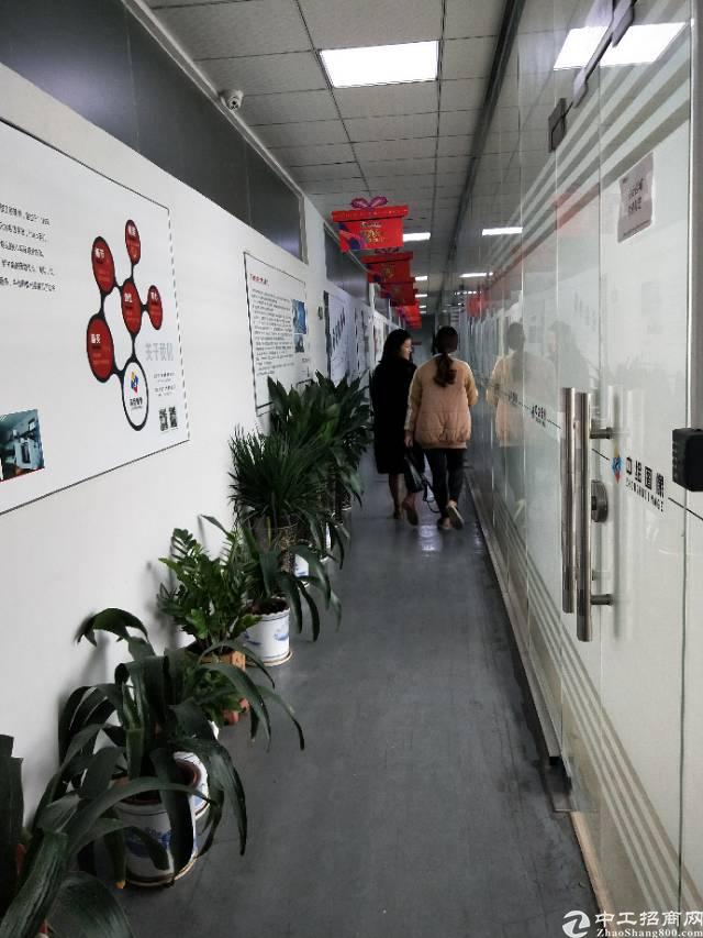 清湖地铁站旁,精装修,大小可分租