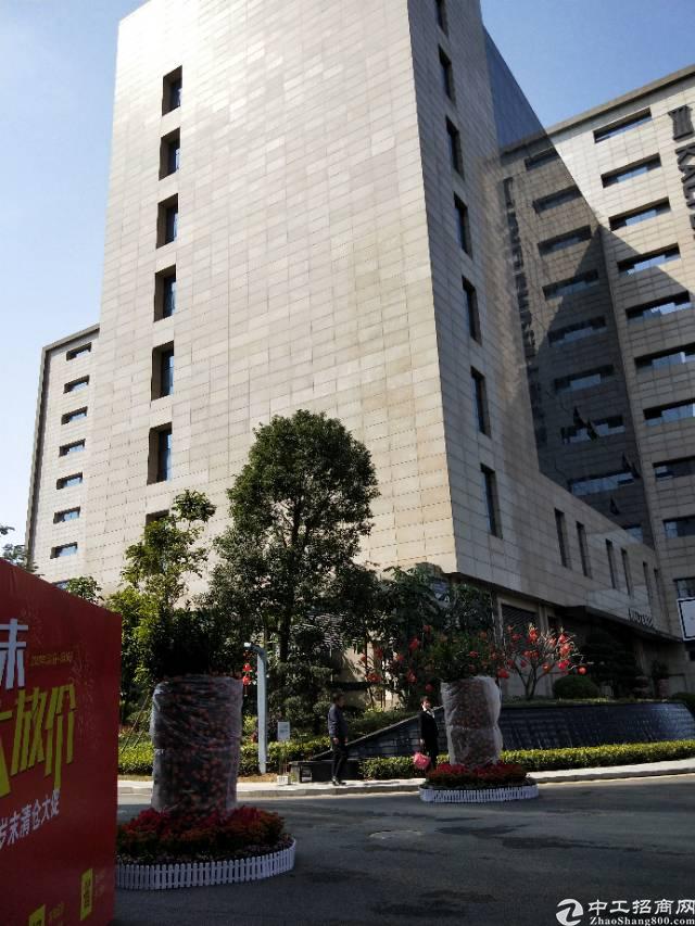 大浪服装基地,豪华装修1000平方起租