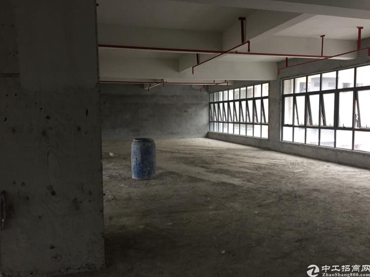 宝安产业孵化器办公大楼出租无公摊