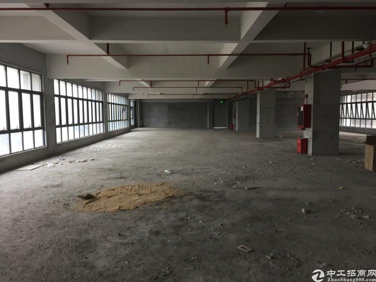 宝安产业孵化器办公大楼出租无公摊