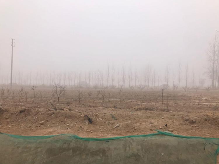 标题：湘潭市雨湖国有指标土地200亩出售