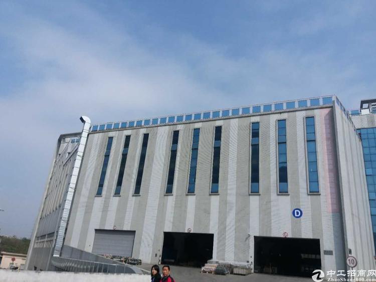 龙华清湖高速口新出标准厂房仓库6米高招租