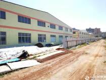 惠州惠阳新圩镇定建七米钢构厂房4万平方