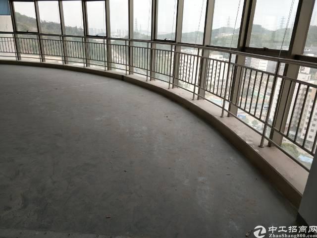 观澜新出写字楼出租大小面积都有