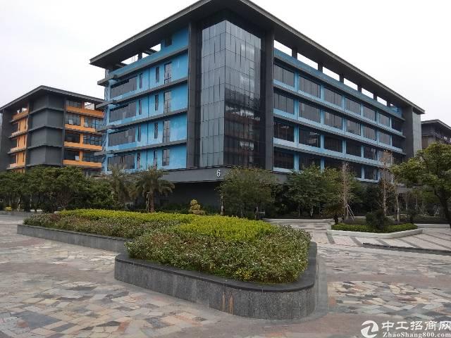 观澜精装修写字楼大小面积分租