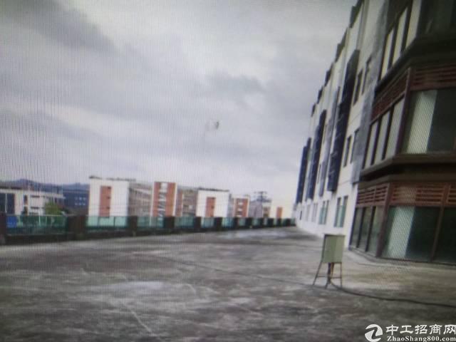 赠送空中花园红本写字楼550平出租价是55块