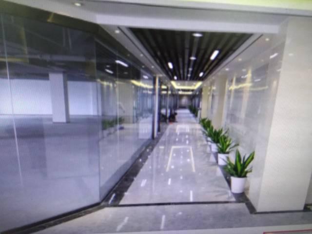 赠送空中花园红本写字楼550平出租价是55块
