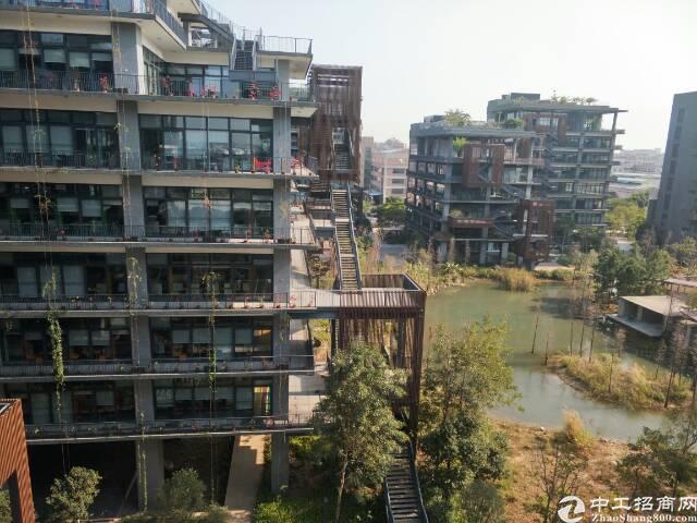 西乡梧桐岛楼上750平米办公写字楼出租