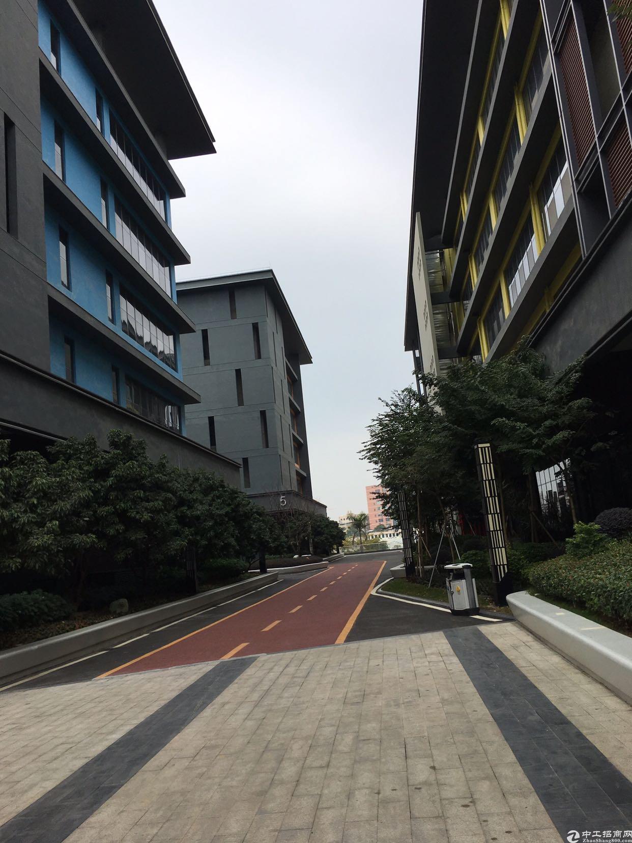 深圳市孵化器五和大道边270-500平办公室出租