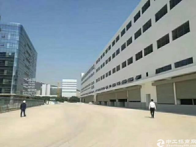 深圳宝安国际机场旁边独门独院1-4层物流仓库约52000平米