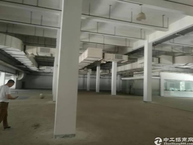 深圳宝安国际机场旁边全新独门独院1-4层物流仓库