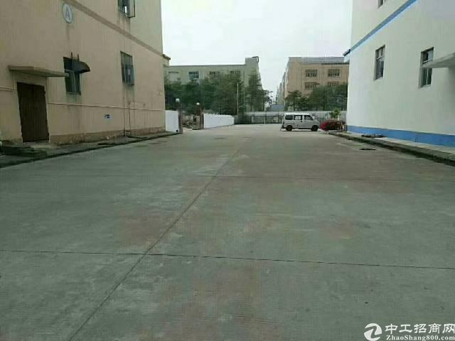 福永大型工业园一楼物流仓库800平