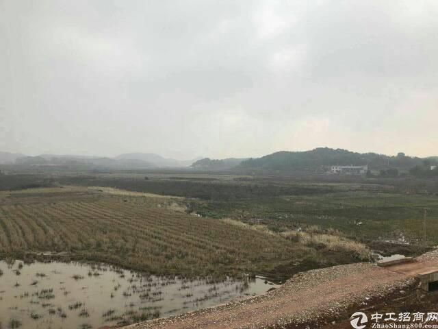 湖南省湘潭市雨花国有指标土地300亩出售1