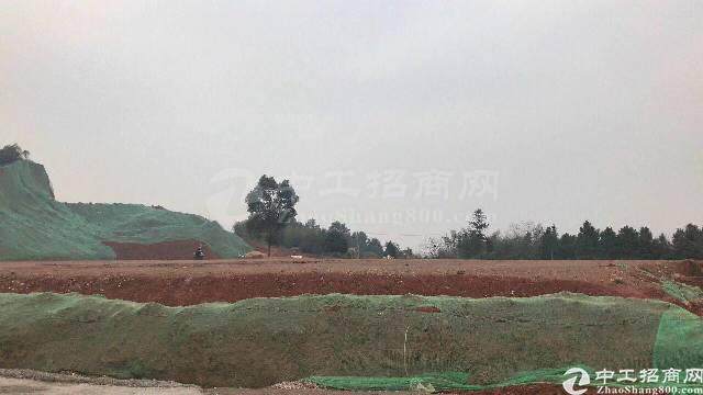 广州临深优质土地出售，国有土地产权50年2