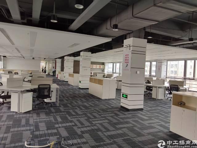 西乡107国道边全新甲级写字楼大小招租