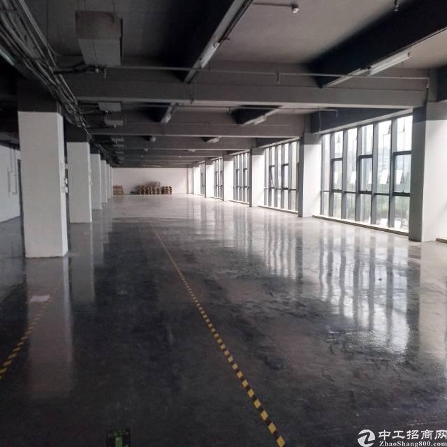福永地铁口福海信息港特价出租
福永地铁口信息港特价出租