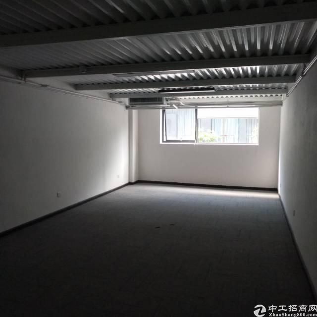福永地铁口福海信息港特价出租
福永地铁口信息港特价出租