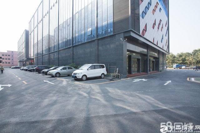 福永地铁口福海信息港特价出租
福永地铁口信息港特价出租