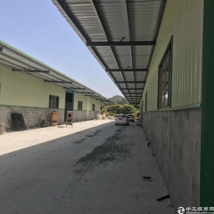 惠州小金口新出独院钢构，面积6000平，滴水6米。可做仓库