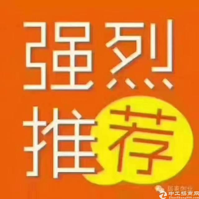 惠州优质厂房及土地红本使用权转让2