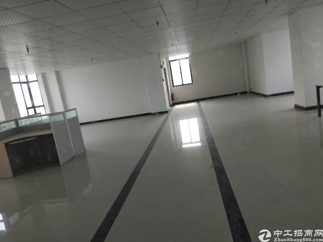 精装写字楼火热招租 带红本
