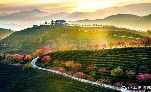 河南郑州国有指标土地100亩出售4