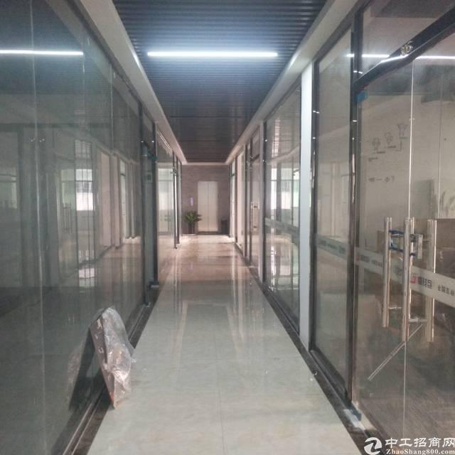 福永塘尾新出精装写字楼出租,面积60―180平