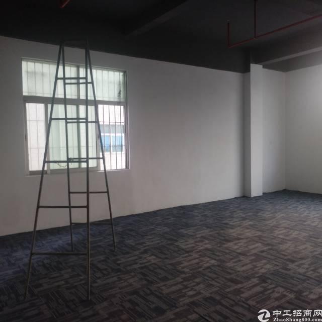 福永塘尾新出精装写字楼出租,面积60―180平